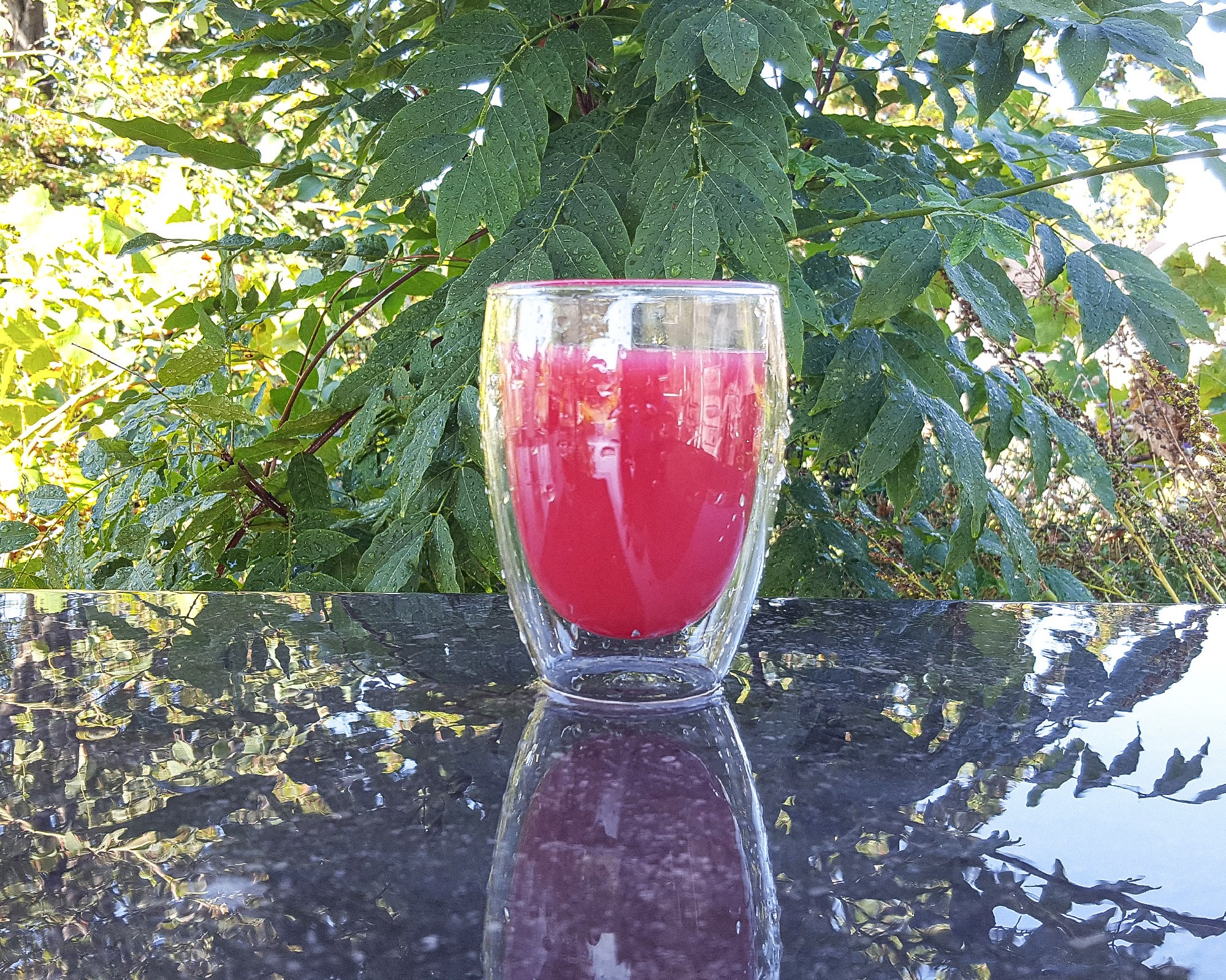 Doppelwandiges Glas 350 ml